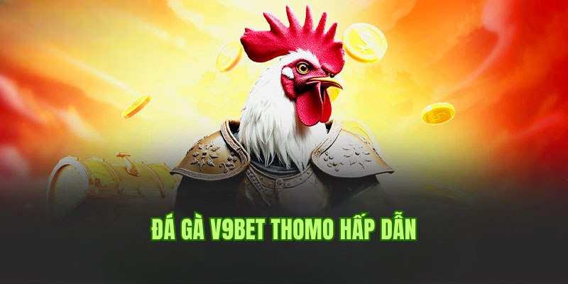 Hình thức đá gà Thomo nổi tiếng hàng đầu tại V9bet