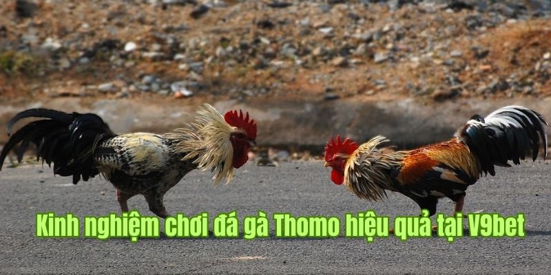 Phân tích chiến thuật thi đấu chắc thắng tại nền tảng